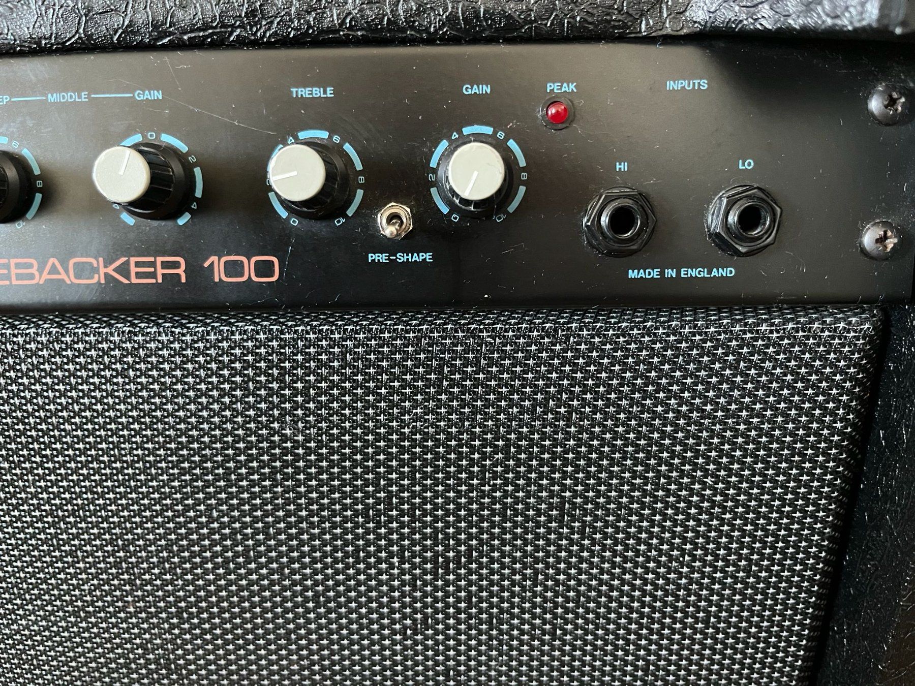 Laney Amplificatori: Ampli Basse Laney Linebacker 100 – Usato da Attalens venduto da dcl3rc99 3