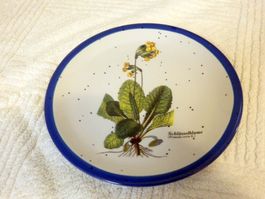 Teller, Keramik, handbemalt, Schlüsselblume, Rösler, Ø 20cm