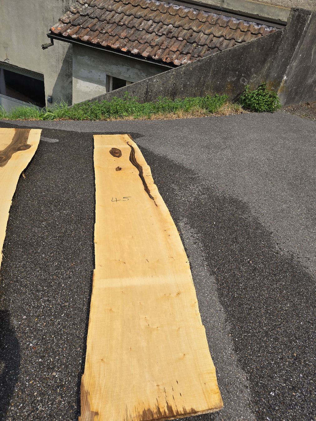 Articoli in legno: Nussbaumstamm frisch – Nuovo (secondo la descrizione) da Ramsei venduto da Waelchris 8