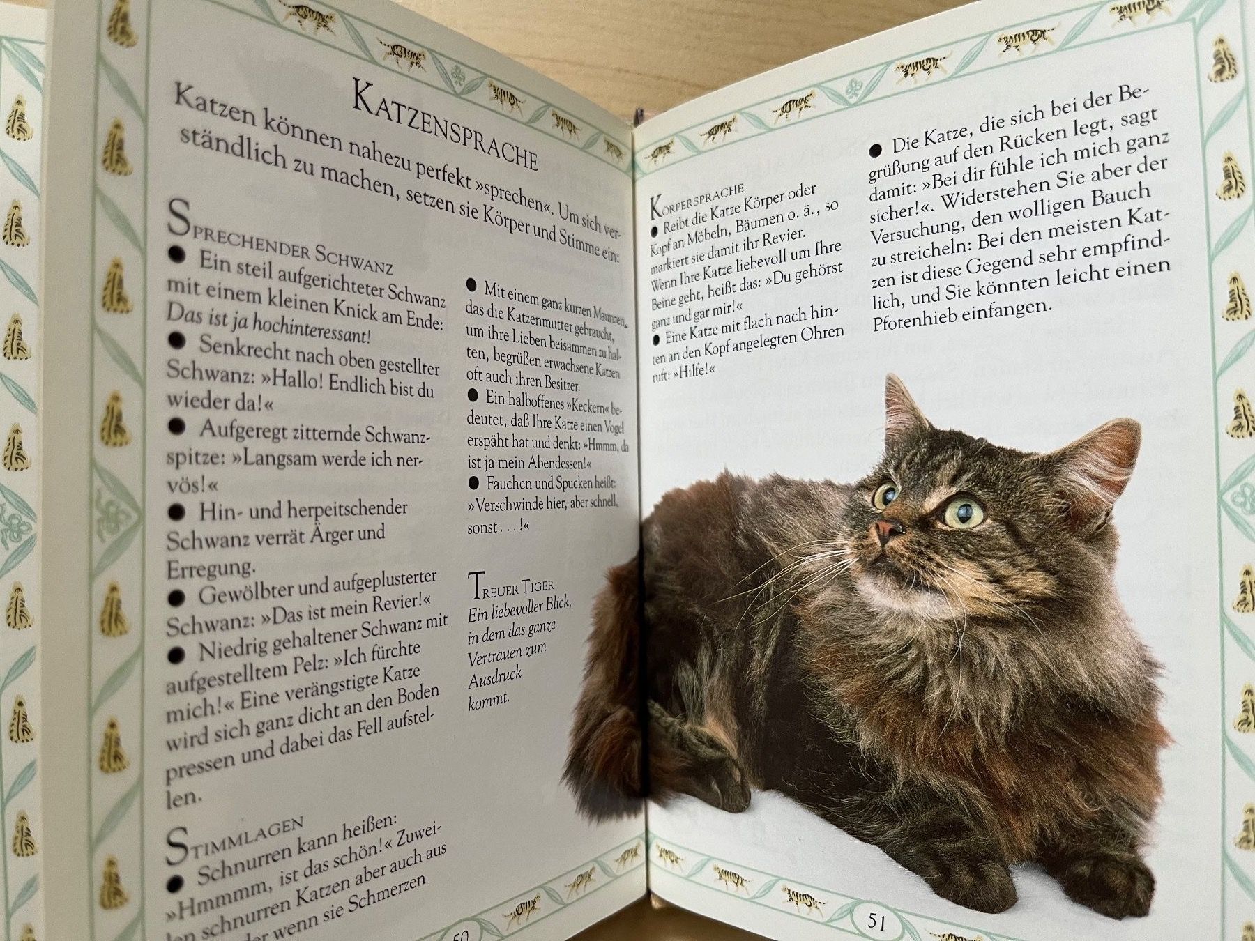 Libri: Tigerkatze - Das persönliche Brevier – Usato da Zürich venduto da Gurkis 7