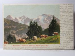 Mürrenbahn - Grütschalp mit Eiger , Mönch und Jungfrau  1903