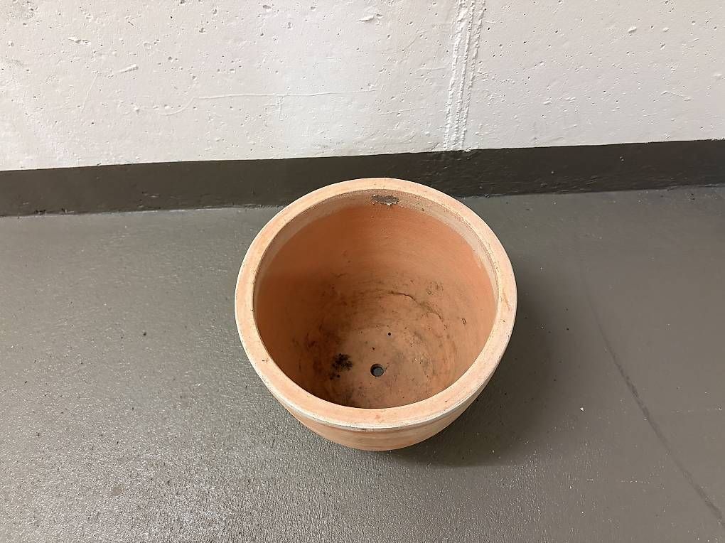 Vasi per fiori: Blumentopf Terracota – Usato da birr venduto da vde_6522 1