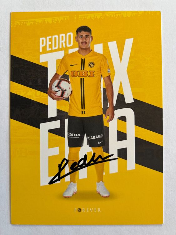 YB Autogrammkarte Pedro Teixeira Kaufen auf Ricardo