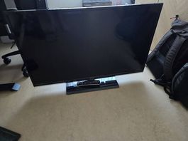 Toshiba TV, Fernseher