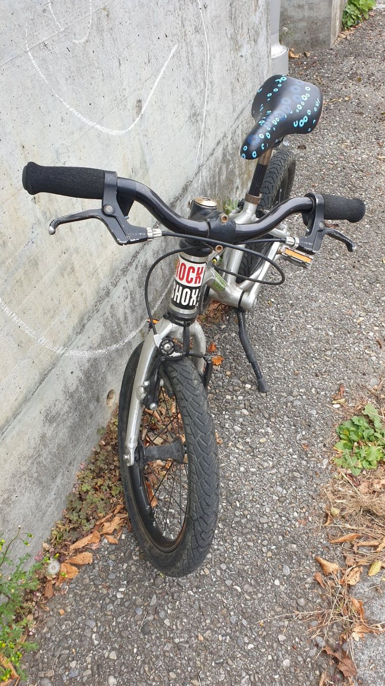 Early Rider Biciclette: Early Rider 16" – Usato da Brügg BE venduto da admawa 2