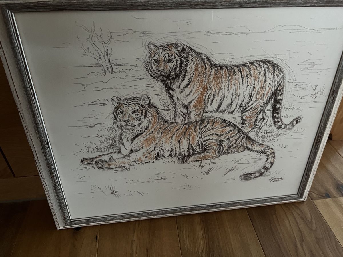 Foto & Immagini: Original Tigerbild von Simone Erni – Usato da Igis venduto da Haupt48