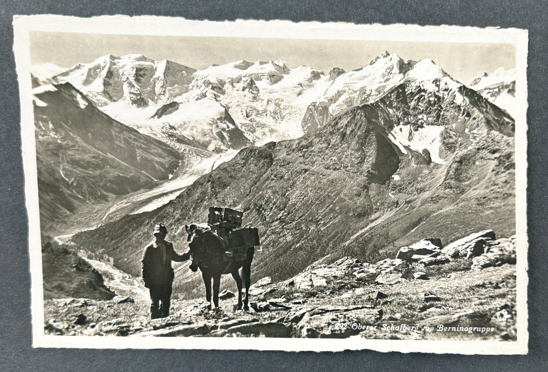 Cartoline postali: ANSICHTSKARTE PFERD LASTEN TRANSPORT – Usato da Ostermundigen venduto da Heavenmaus75