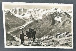 ANSICHTSKARTE PFERD LASTEN TRANSPORT