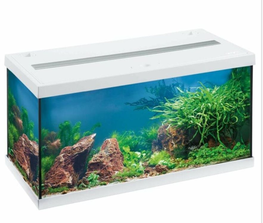 Eheim Komplett Aquarium 60x30x30 UNVERPACKT mit Garantie | Kaufen auf ...