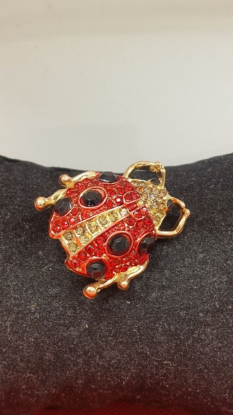 Spille & Fermagli: Rote Glückskäfer-Brosche, goldfarben - ein echter Hingucker! – Nuovo (secondo la descrizione) da Herisau venduto da Antiques.AR