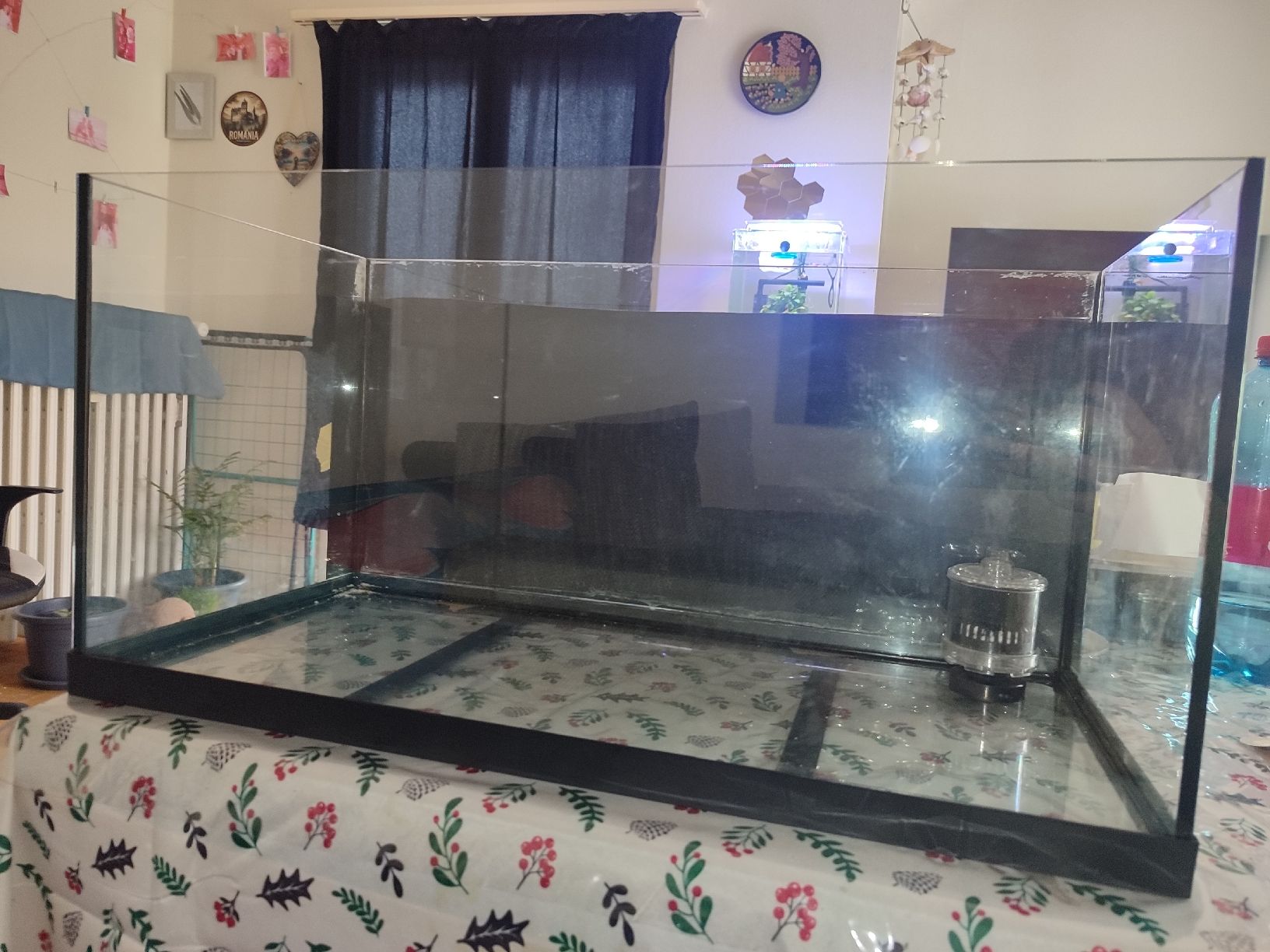 Acquari: Aquarium mit Filter und Dekoration – Usato da Frauenfeld venduto da crh_v2vh 3