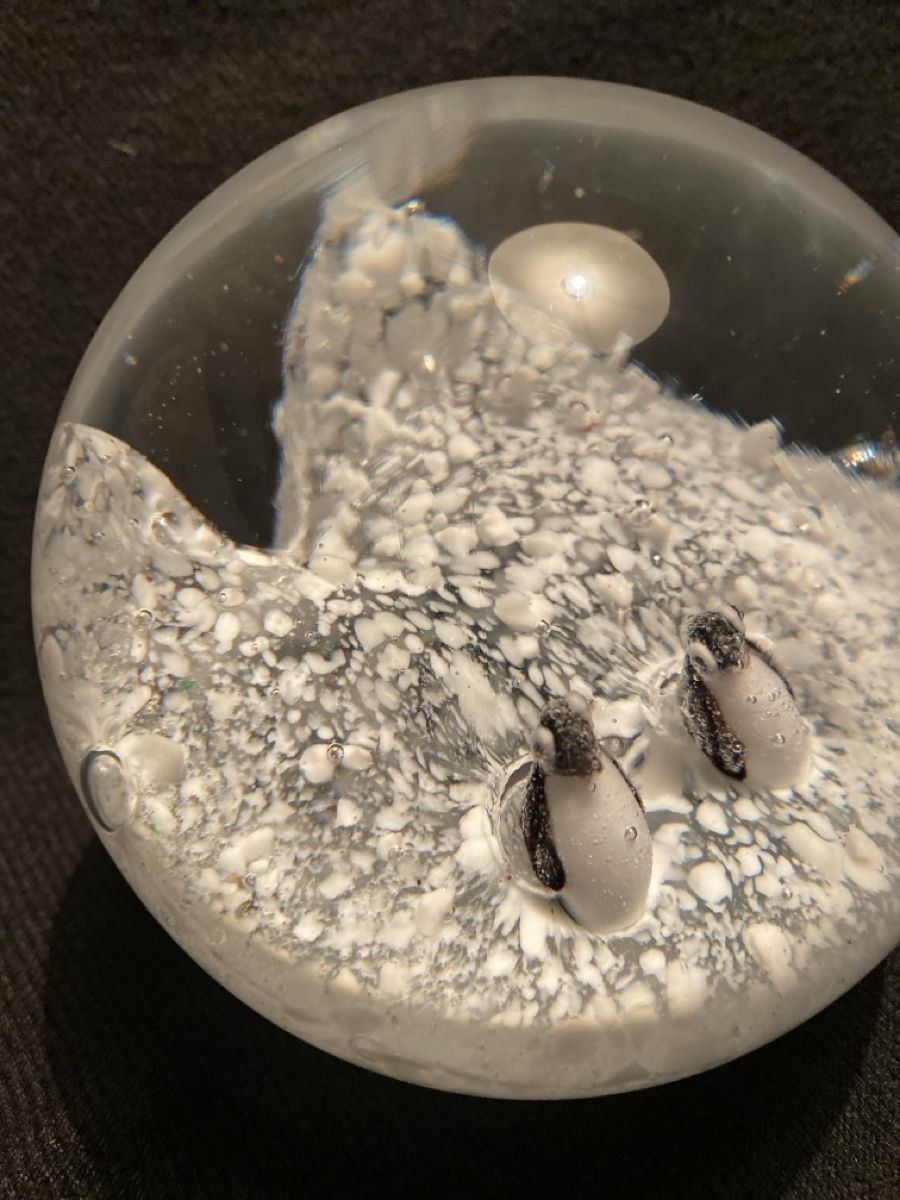 Tutte le decorazioni: Winterliche Schneekugel mit Pinguinen - Dekoration! – Usato da Dübendorf venduto da cchiarello