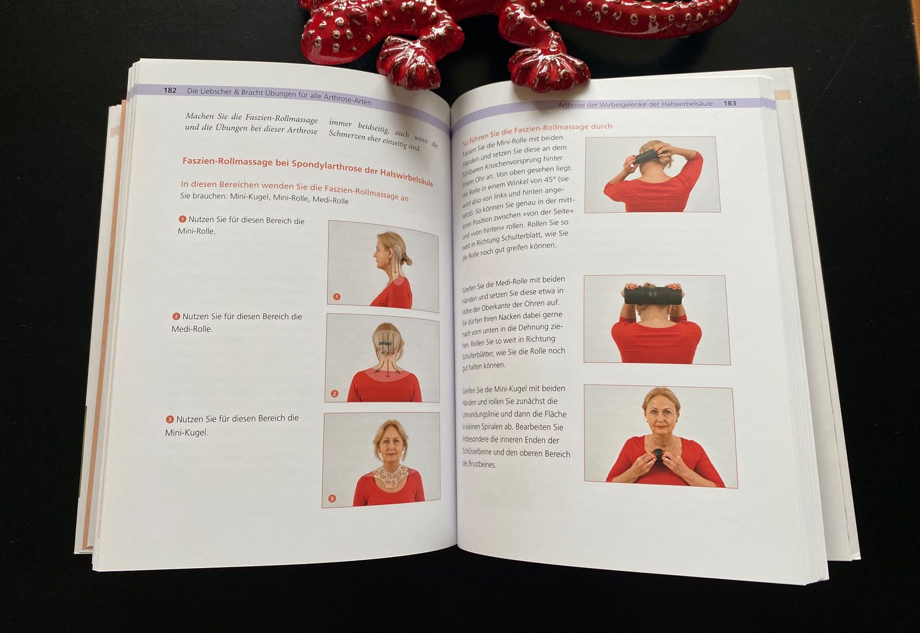 Libri: DIE ARTHROSE LÜGE – Usato da Nussbaumen AG venduto da schuba2000 4
