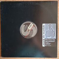 Mack da Maniak ‎– What Goes Up (Remix) 12" US-1996 VG++/VG+