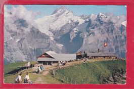GRRINDELWALD, BERGSTATION FIRSTBAHN UND SCHRECKHORN, 2.8.61