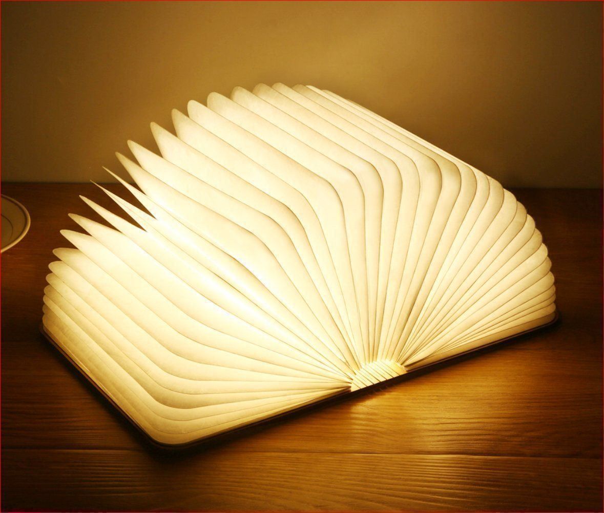 Lampade: Buchleuchte LED hell weiss und warmweiss – Nuovo e nell'imballaggio originale da Burgdorf venduto da XJ6