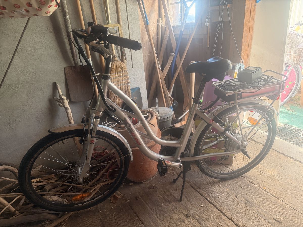 Biciclette: B-Bine E-Bike – Usato da Schwellbrunn venduto da Magdalena888