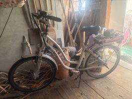 B-Bine E-Bike