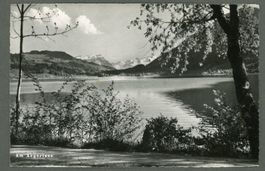 AK sw Am Aegerisee SZ ≈ 1950 