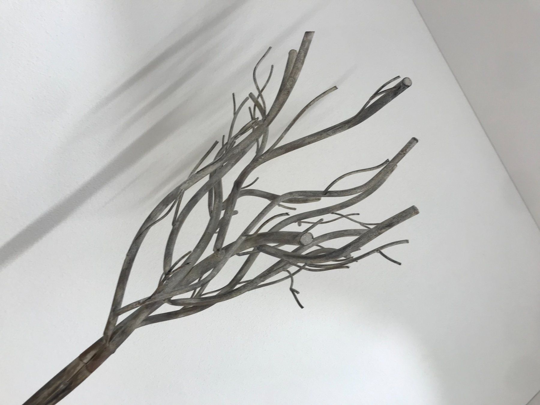 Guardaroba: Deko Baum Design Garderobe – Usato da Gersau venduto da pd-design-and-art 2