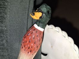 Holz-Enten-Klammer, Deko-Klammer, Vintage-Stil, Top!