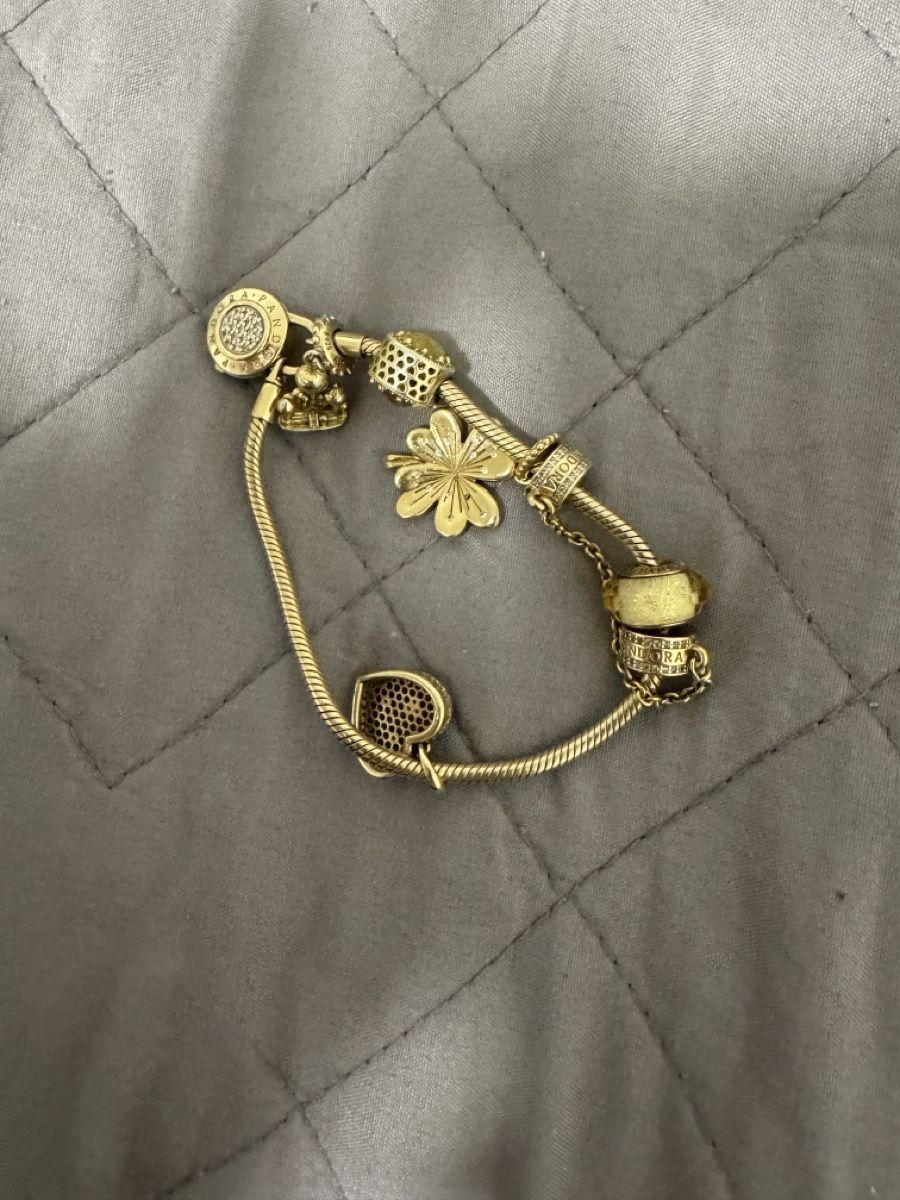 Pandora Bracciali & Braccialetti: Pandora Armband – Usato da Stein AG venduto da Ibi__