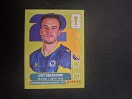 Panini WM 26 BIH 20