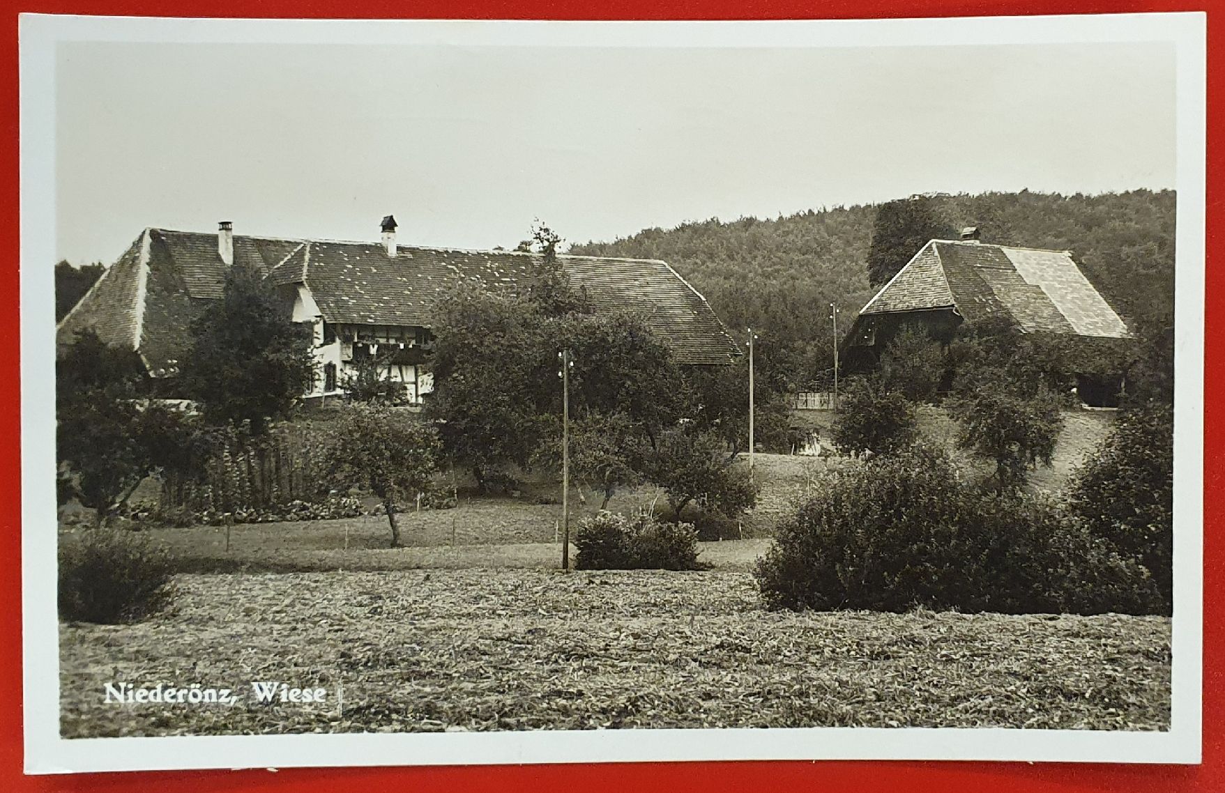 Cartoline postali: Niederönz - Wiese – Usato da Kreuzlingen venduto da Rschweiz1