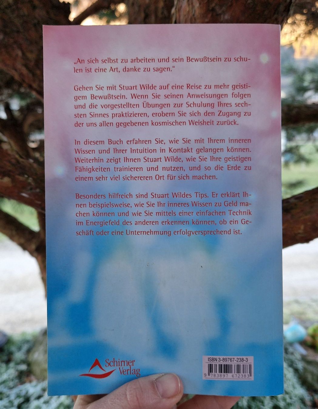 Bücher: Buch - Der sechste Sinn - Stuart Wilde – Gebraucht aus Siblingen von  3