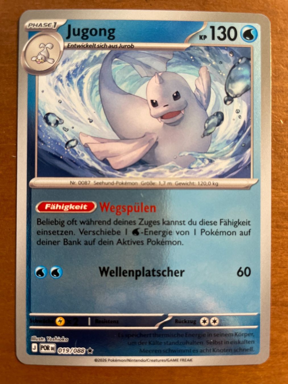 Pokémon Carte collezionabili: Pokemon Jugong Reverse (Versand gratis) – Nuovo (secondo la descrizione) da Chur venduto da Angerson