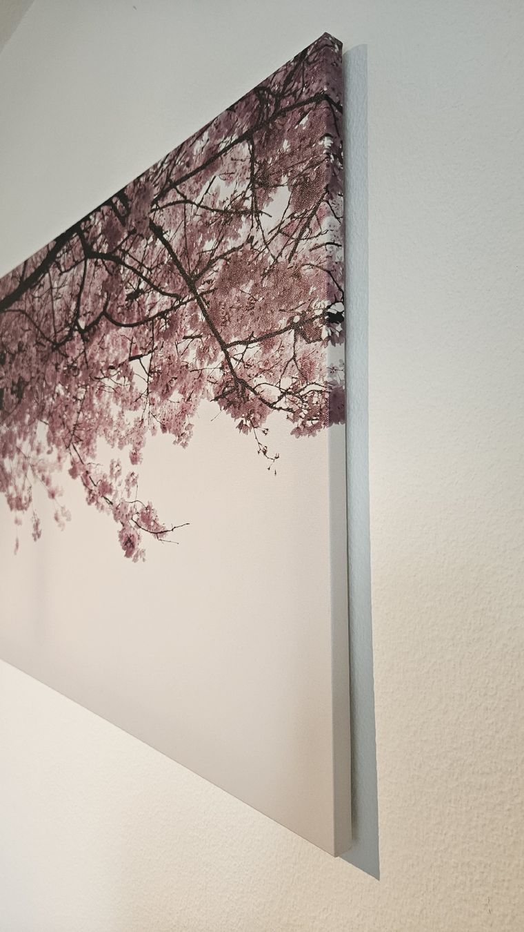 Poster & Bilder: Wandbild Kirschblütenbaum – Gebraucht aus Emmenbrücke von L_W 2