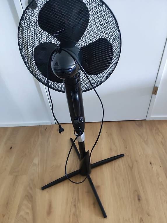 Ventilatori: Satrap Standventilator, abholbar in Allschwil BL – Usato da Oberengstringen venduto da dalisiana 1