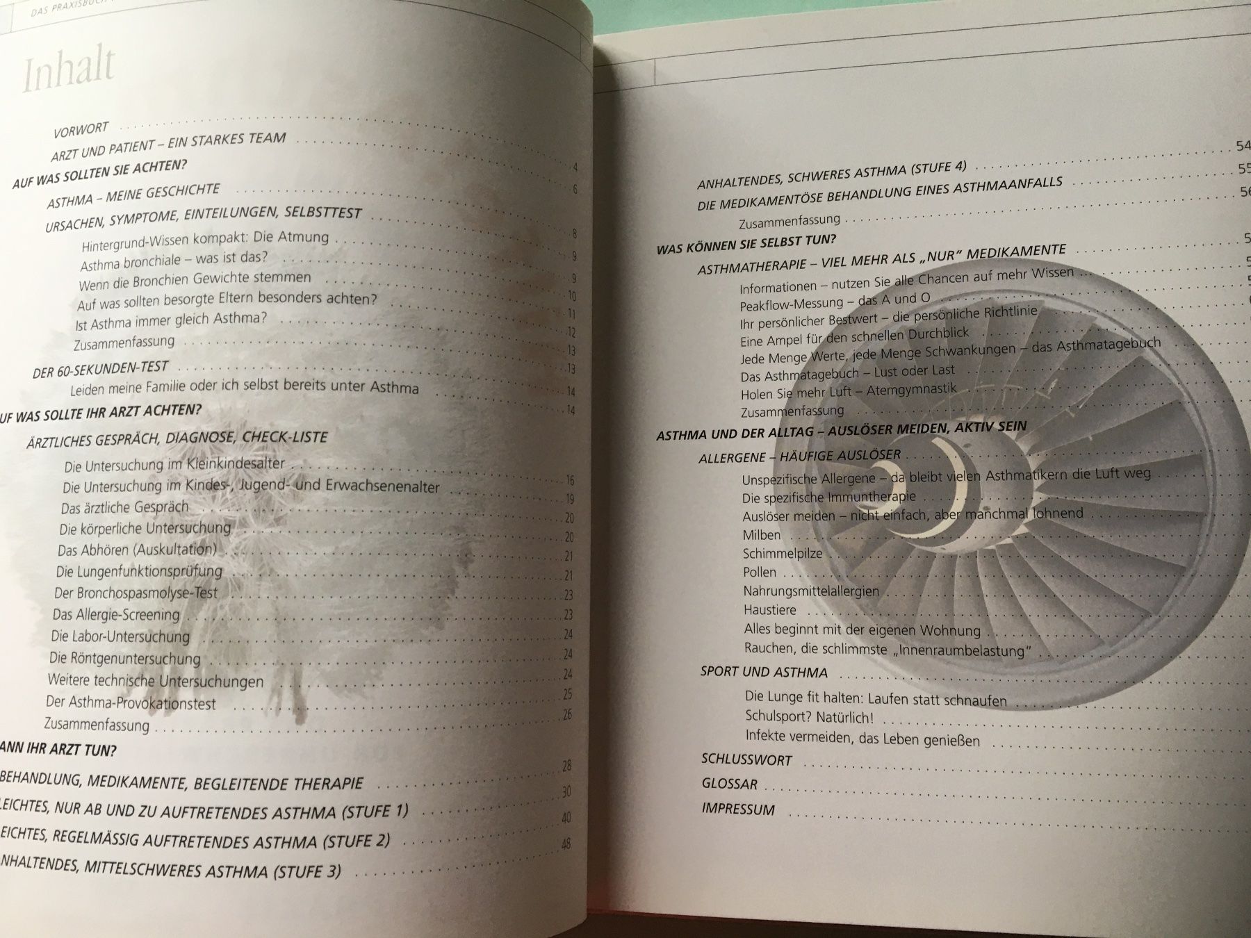 Libri: Hilfe Asthma – Usato da Arth venduto da Vrecam51 1