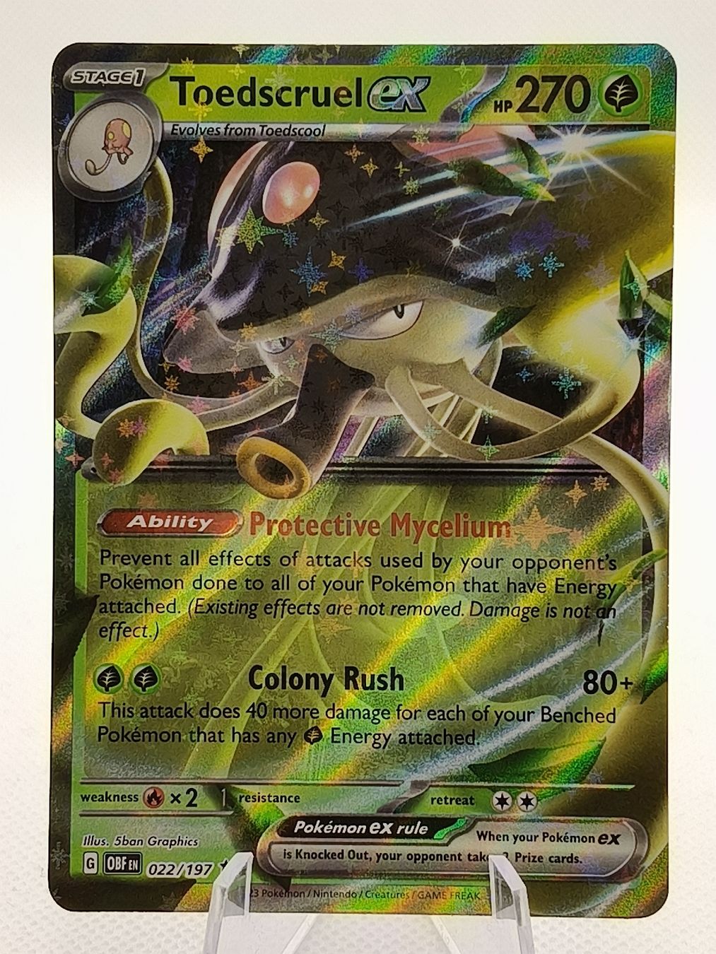 Pokémon Carte collezionabili: Pokemon Toedscruel EX 022/197 – Nuovo (secondo la descrizione) da Wallbach venduto da lexxtrack