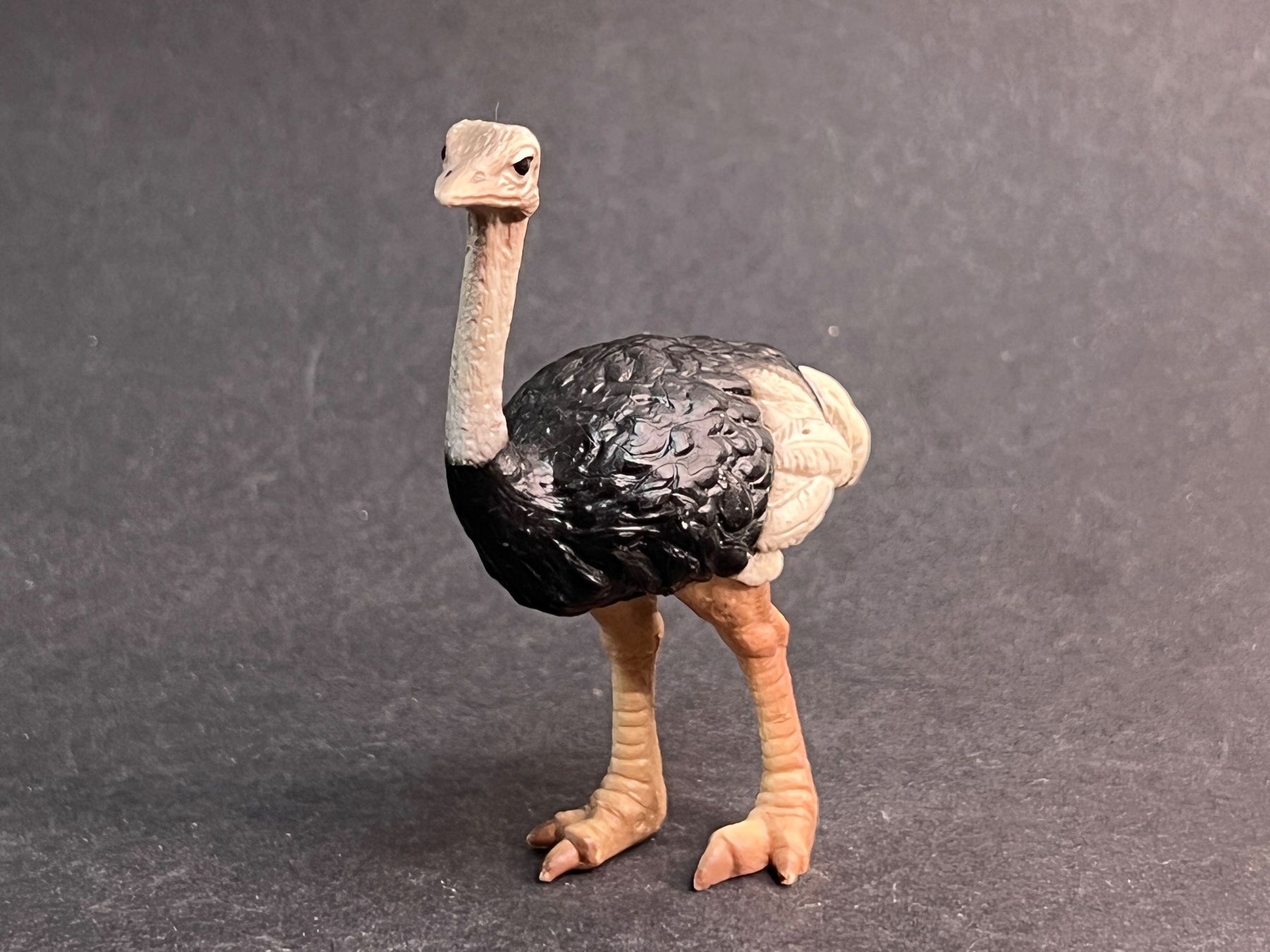 Schleich Figuren: Schleich Strauß und Straussenjunges Strauss – Gebraucht aus Ennetbaden von mapa05 2