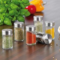 6-teiliges stilvolles Gewürzstreuer-Set aus Glas