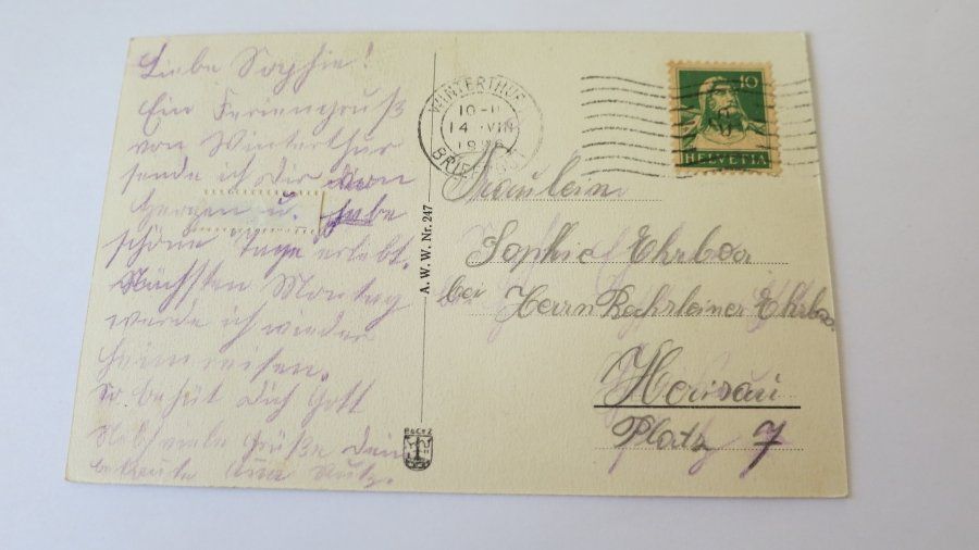 Cartoline postali: Winterthur - Bruderhaus mit Wildpark - 1926 – Usato da Jona venduto da centumprata 1