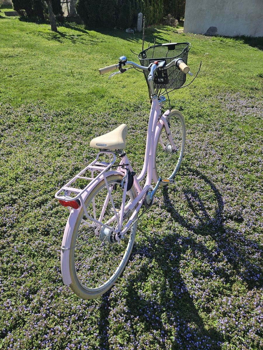 Cresta Biciclette: Vélo Cresta Boulevard rose, avec panier et accessoires – Nuovo (secondo la descrizione) da Martigny venduto da ctr200 1