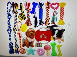 20‑teiliges Hundespielzeug‑Set — Seil & Kauspielzeug