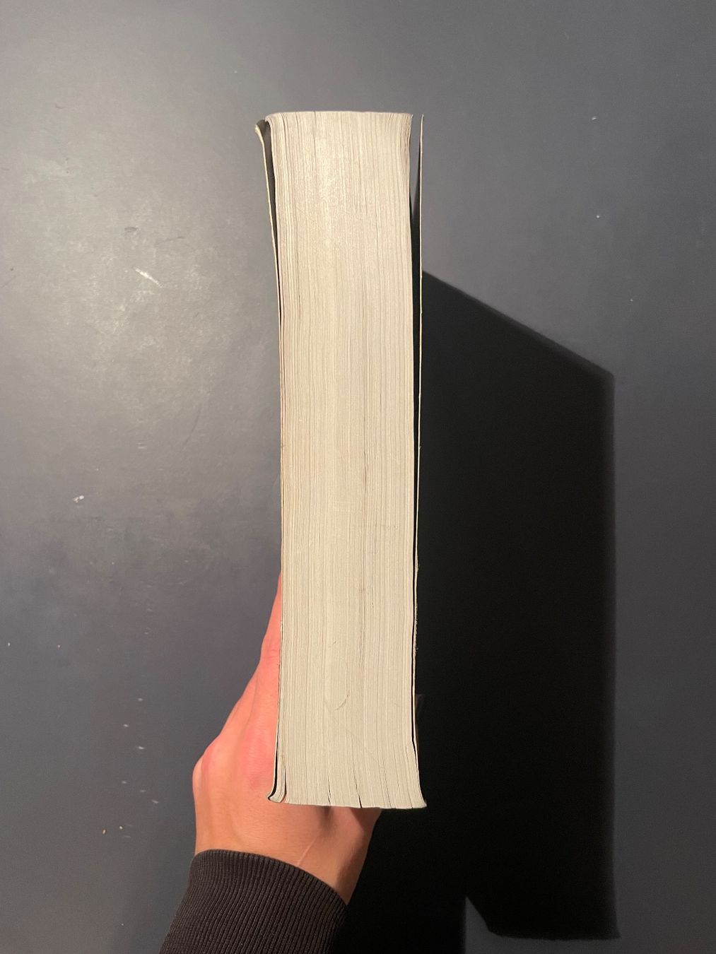 Libri: Darkmans - Nicola Barker – Usato da Bern venduto da aij_cs5m 1