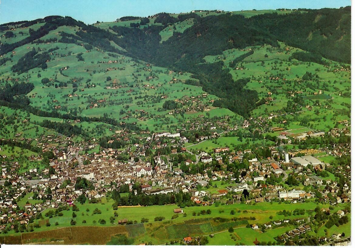 Cartoline postali: Flugaufnahme Altstätten – Usato da Hochdorf venduto da Ziegel-16