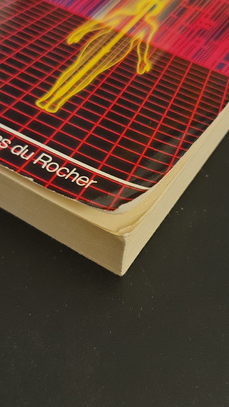 Libri: Les Nouvelles Dimensions De La Conscience Stanislav Grof Édi – Usato da Montreux venduto da Edelweissgirl_64 1