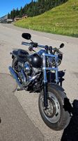 Harley Davidson Fat Bob Custom Auspuff Remus, guter Zustand