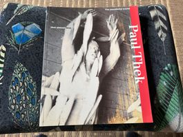 Paul THEK The wonderful world that almost was