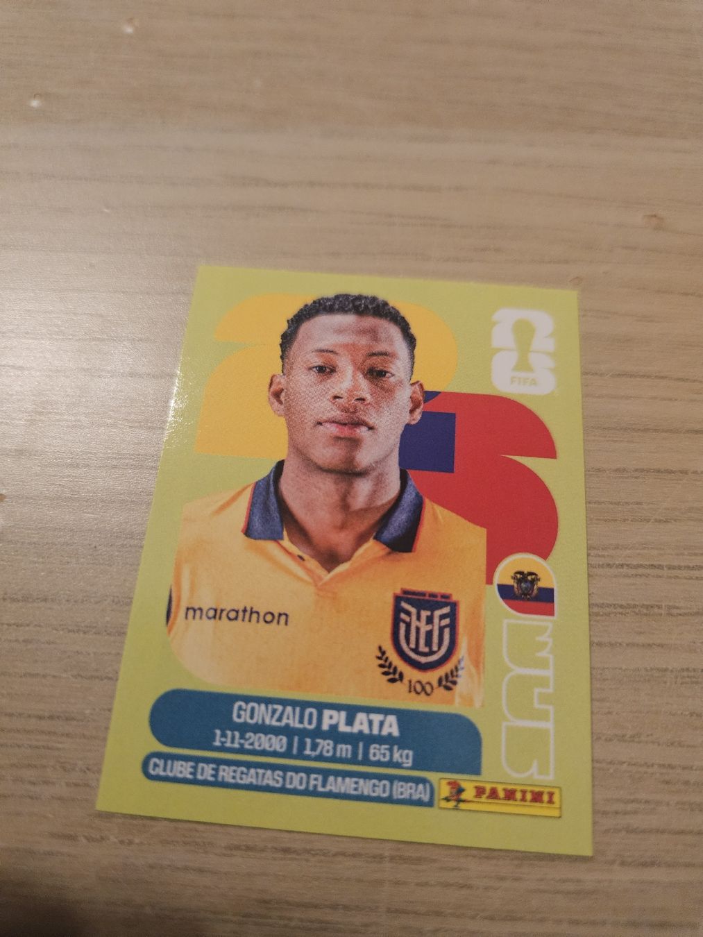 Panini Sammelbilder & Trading cards: Panini WM 2026 ECU 16 – Neu (gemäss Beschreibung) aus Genève von jerdinho1209