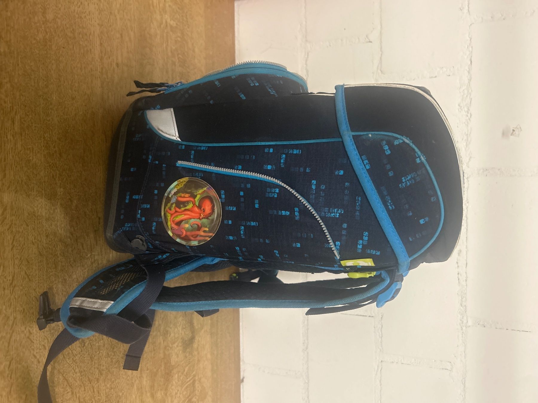 Ergobag Borse & Zaini: Ergobag Schulthek / Rucksack, Top Zustand! – Usato da Muri b. Bern venduto da brinae 1