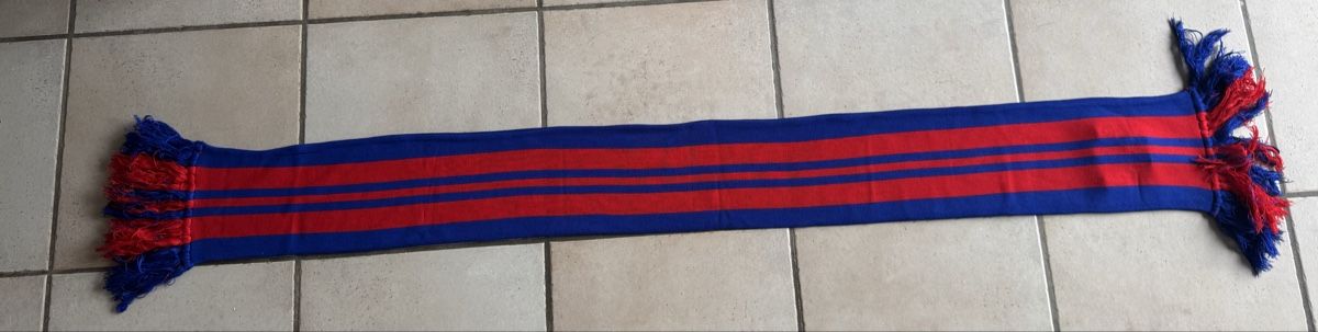 FC Basel Foulard & Sciarpe: Fc Basel 1893 Schal  – Usato da Lenzburg venduto da Meister_k 1