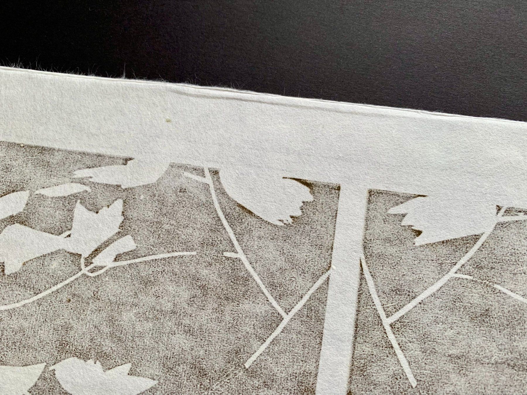 Gravures sur bois: Alex Katz, Holzschnitt – D'occasion à Regensdorf par JoergR 7