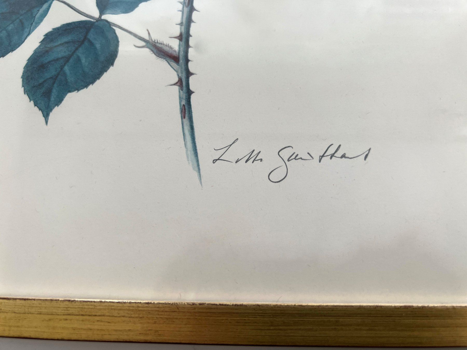 Grafiken & Lithographien: Lithographie eines Aquarells***** – Gebraucht aus Dübendorf von Smisbox 1