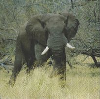 2 Servietten Elefant